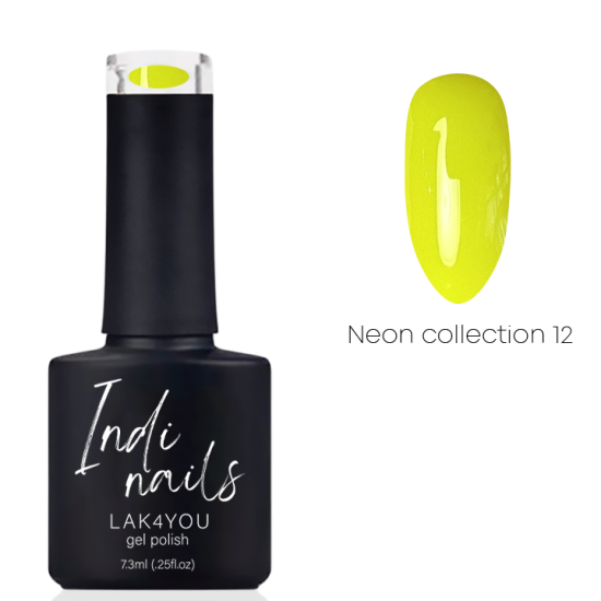 Neon Collection - 12 